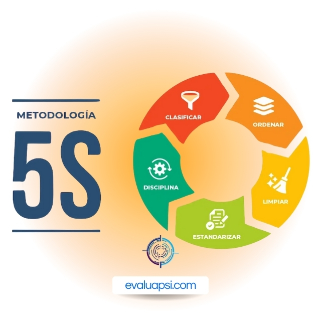 Aplicación de las 5S en la organización
