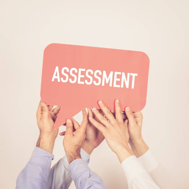 Assessment o Evaluación Laboral